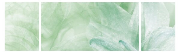 Obraz - Zielony kwiat (170x50 cm)
