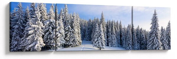 Obraz - Zima w lasach (170x50 cm)