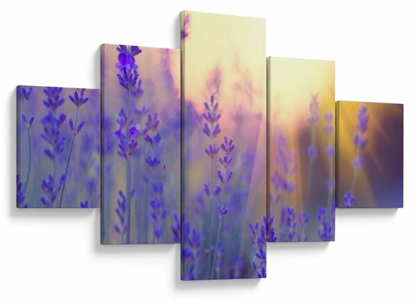 Obraz - Lawenda (125x70 cm)