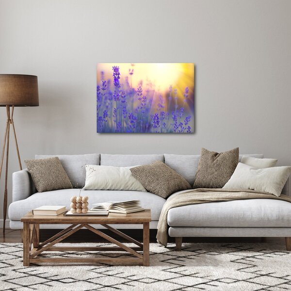 Obraz - Lawenda (70x50 cm)