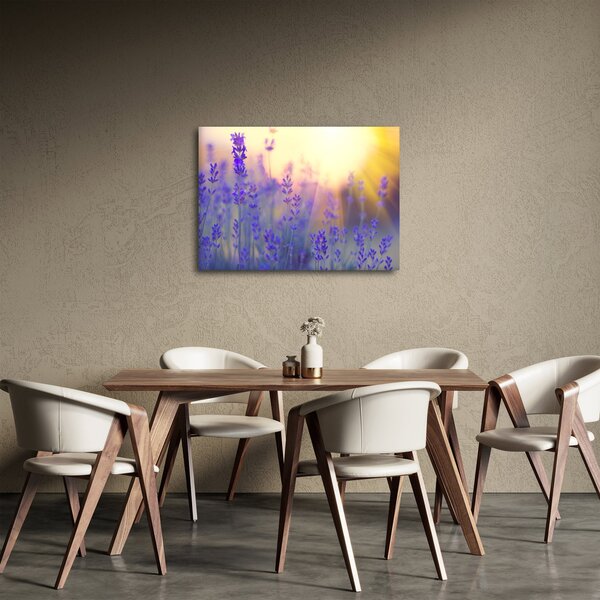 Obraz - Lawenda (70x50 cm)