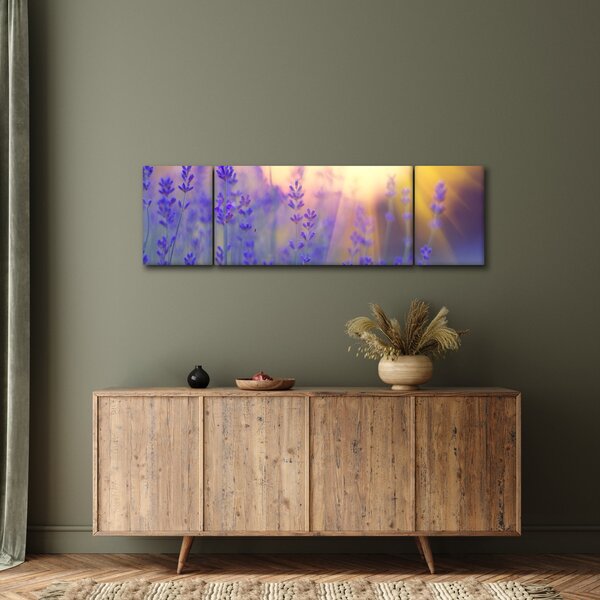 Obraz - Lawenda (170x50 cm)