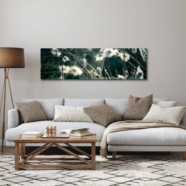 Obraz - Pajęczyna (170x50 cm)