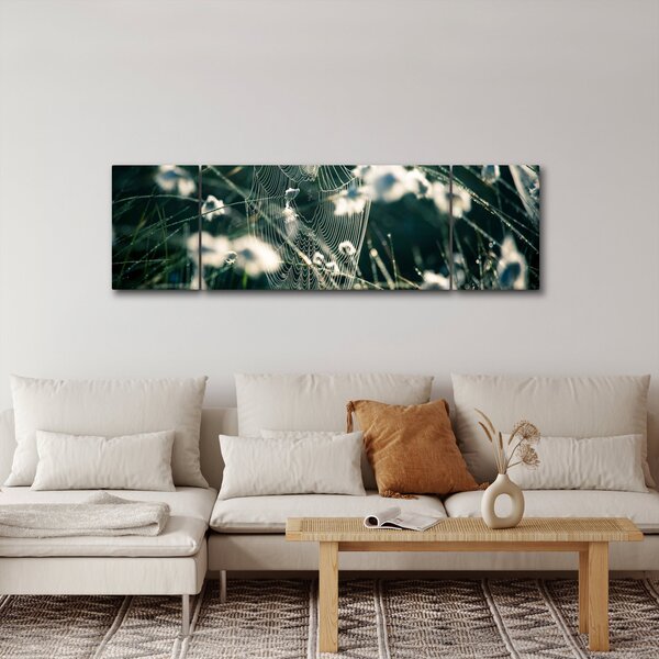 Obraz - Pajęczyna (170x50 cm)