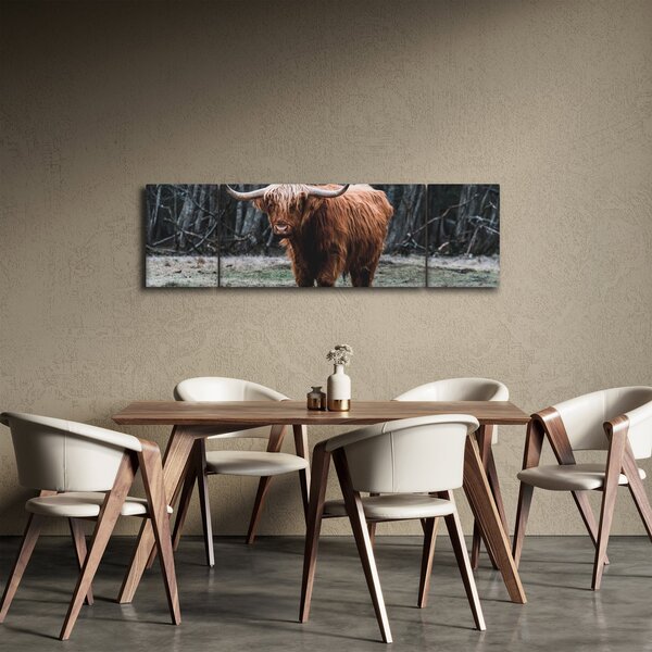 Obraz - Szkocka krowa 2 (170x50 cm)