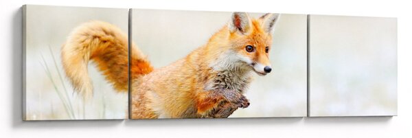 Obraz - Skaczący lis (170x50 cm)