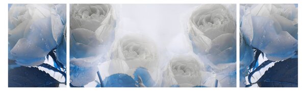 Obraz - Białe róże (170x50 cm)