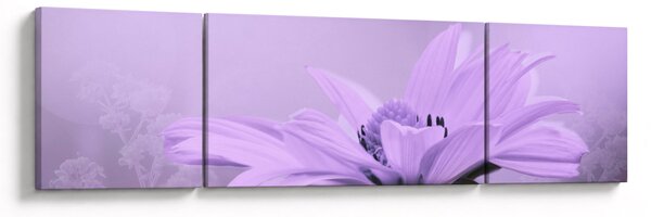 Obraz - Fioletowy kwiat (170x50 cm)