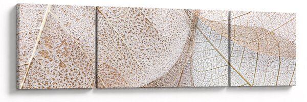 Obraz - Beżowe liście (170x50 cm)