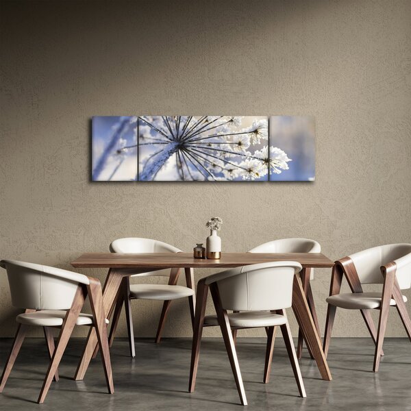 Obraz - Zamarznięty kwiat (170x50 cm)