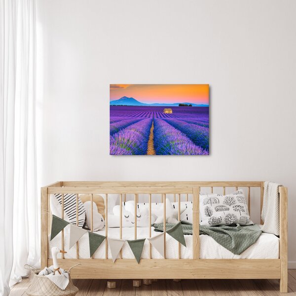 Obraz - Lewndowe pole (70x50 cm)