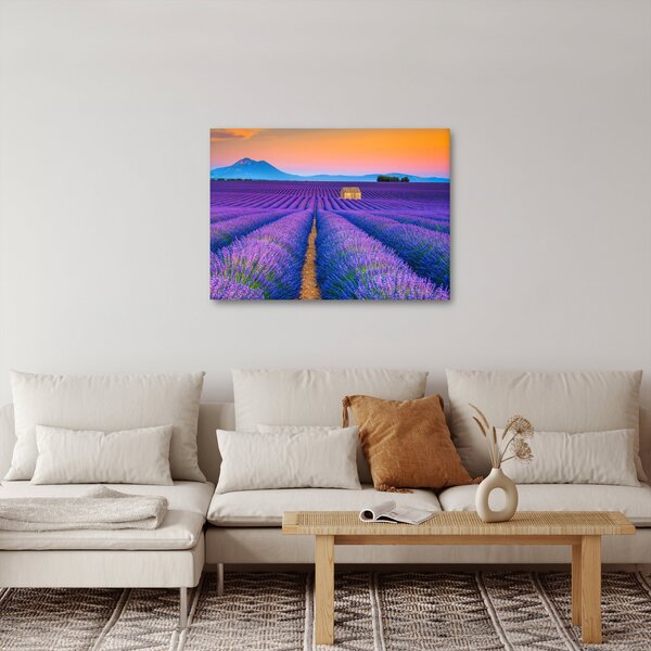 Obraz - Lewndowe pole (70x50 cm)