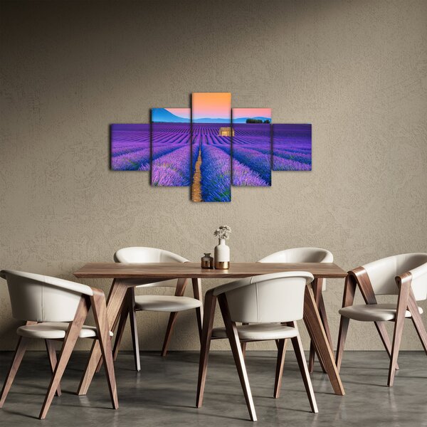 Obraz - Lewndowe pole (125x70 cm)