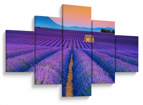 Obraz - Lewndowe pole (125x70 cm)