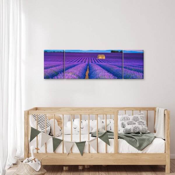 Obraz - Lewndowe pole (170x50 cm)
