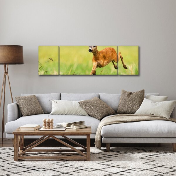 Obraz - Sarna (170x50 cm)