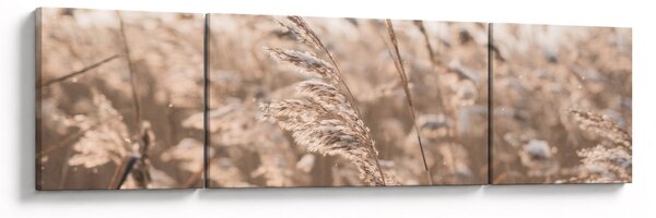 Obraz - Łąkowy wianek (170x50 cm)