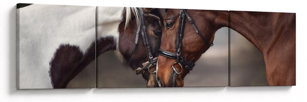 Obraz - Zakochane konie (170x50 cm)