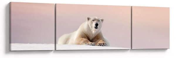 Obraz - Niedźwiedź polarny (170x50 cm)