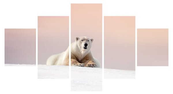 Obraz - Niedźwiedź polarny (125x70 cm)