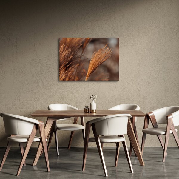 Obraz - Kortaderia (70x50 cm)
