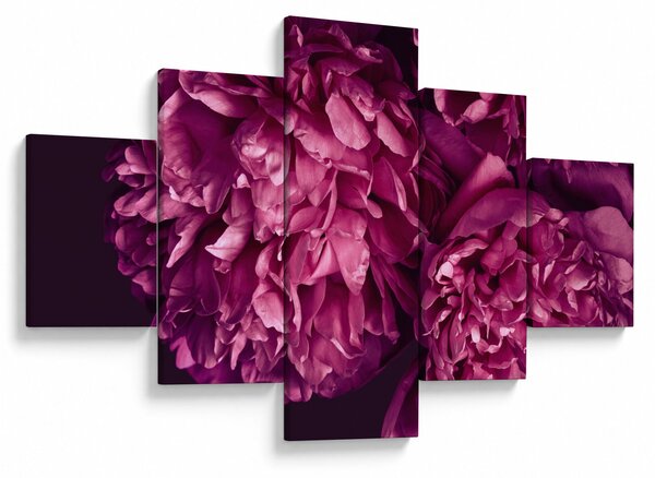 Obraz - Kwiaty piwonii (125x70 cm)