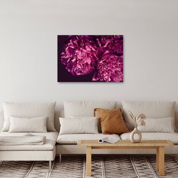 Obraz - Kwiaty piwonii (70x50 cm)