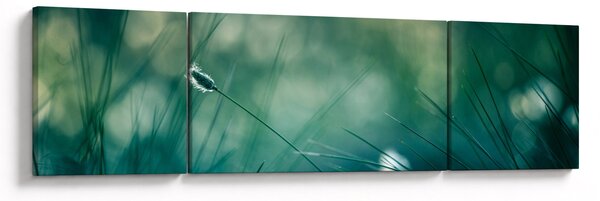 Obraz - Szczegół trawy (170x50 cm)