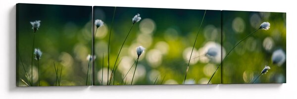 Obraz - Trawa (170x50 cm)