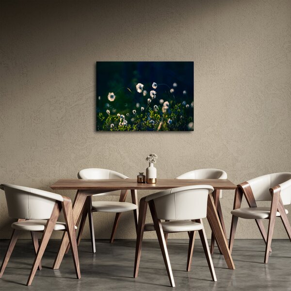 Obraz - Trawa (70x50 cm)