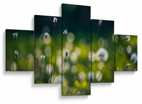 Obraz - Trawa (125x70 cm)