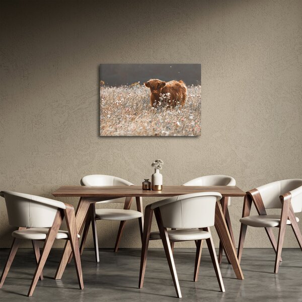 Obraz - Szkocka krowa w kwiatach (70x50 cm)