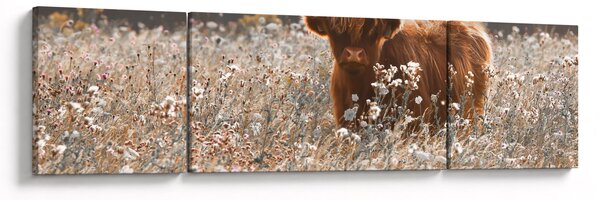 Obraz - Szkocka krowa w kwiatach (170x50 cm)