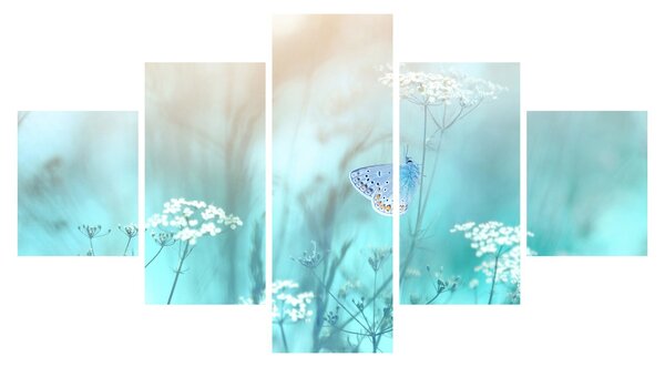 Obraz - Motyl w niebieskim (125x70 cm)