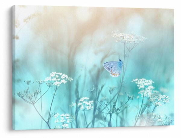 Obraz - Motyl w niebieskim (70x50 cm)