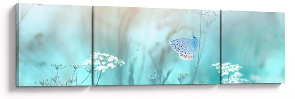 Obraz - Motyl w niebieskim (170x50 cm)