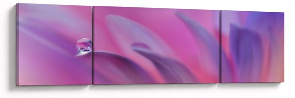 Obraz - Kropla na kwiecie (170x50 cm)