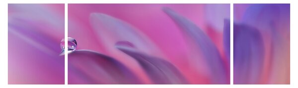 Obraz - Kropla na kwiecie (170x50 cm)