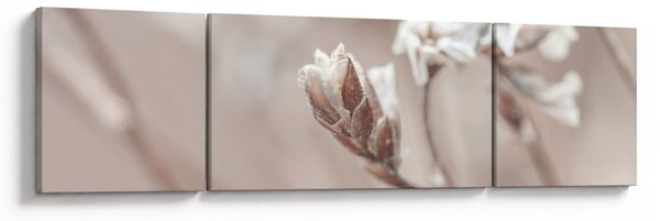Obraz - Szczegół gałęzi (170x50 cm)