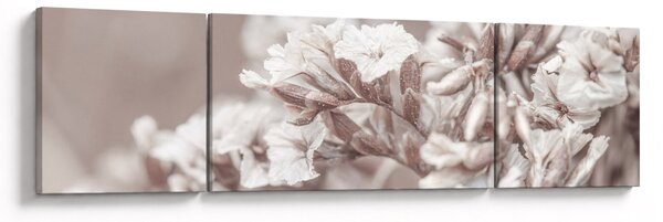 Obraz - Szczegół gałązek (170x50 cm)