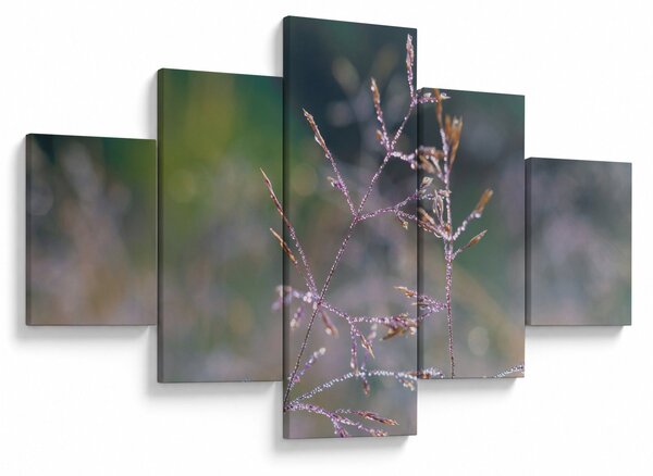 Obraz - Szczegół trawy (125x70 cm)