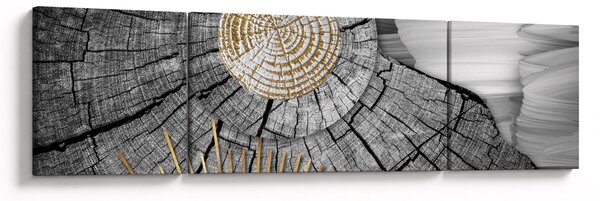 Obraz - Pień drzewa w kolażu (170x50 cm)
