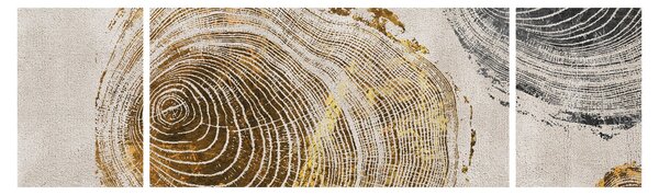 Obraz - Abstrakcja pnia (170x50 cm)