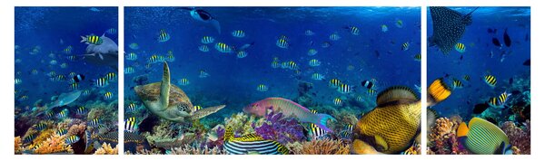 Obraz - Ocean (170x50 cm)