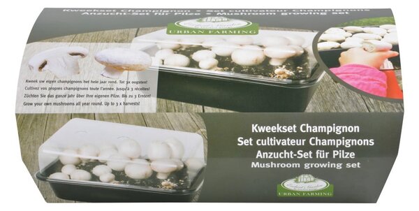 Akcesorium do uprawiania Field Mushroom – Esschert Design