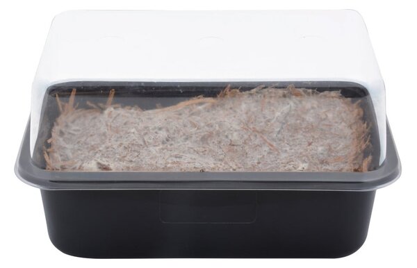 Akcesorium do uprawiania Field Mushroom – Esschert Design