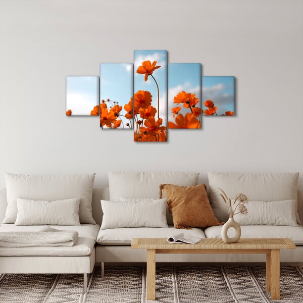 Obraz - Łąkowe kwiaty (125x70 cm)