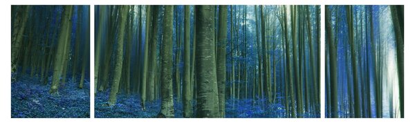 Obraz - Niebieski las (170x50 cm)