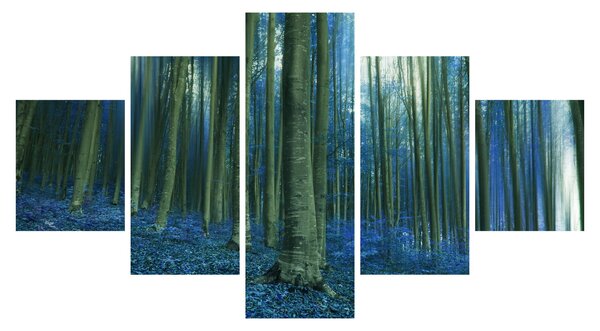 Obraz - Niebieski las (125x70 cm)