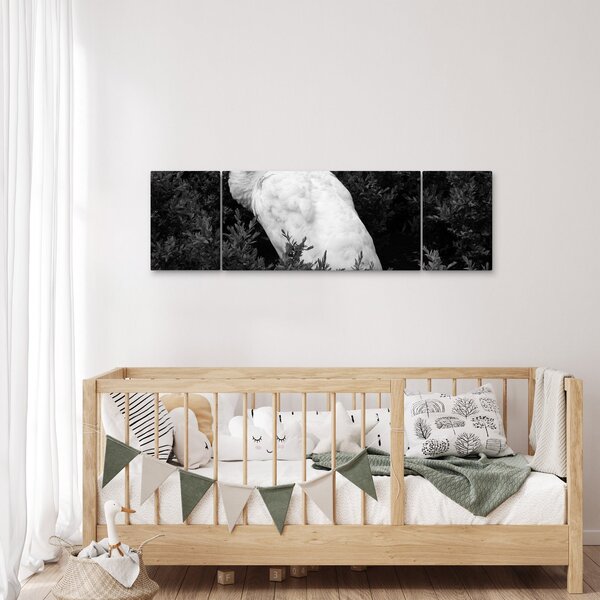 Obraz - Paw, czarno - biały (170x50 cm)